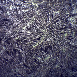 Lame mince basalte tholeitique