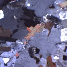 lame mince de granodiorite en lumière polarisée