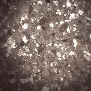 LM2113 - Lame mince de grès calcaire