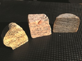 fragment scié de Migmatite
