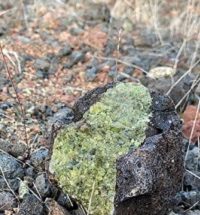 nodule de Péridotite dans du Basalte