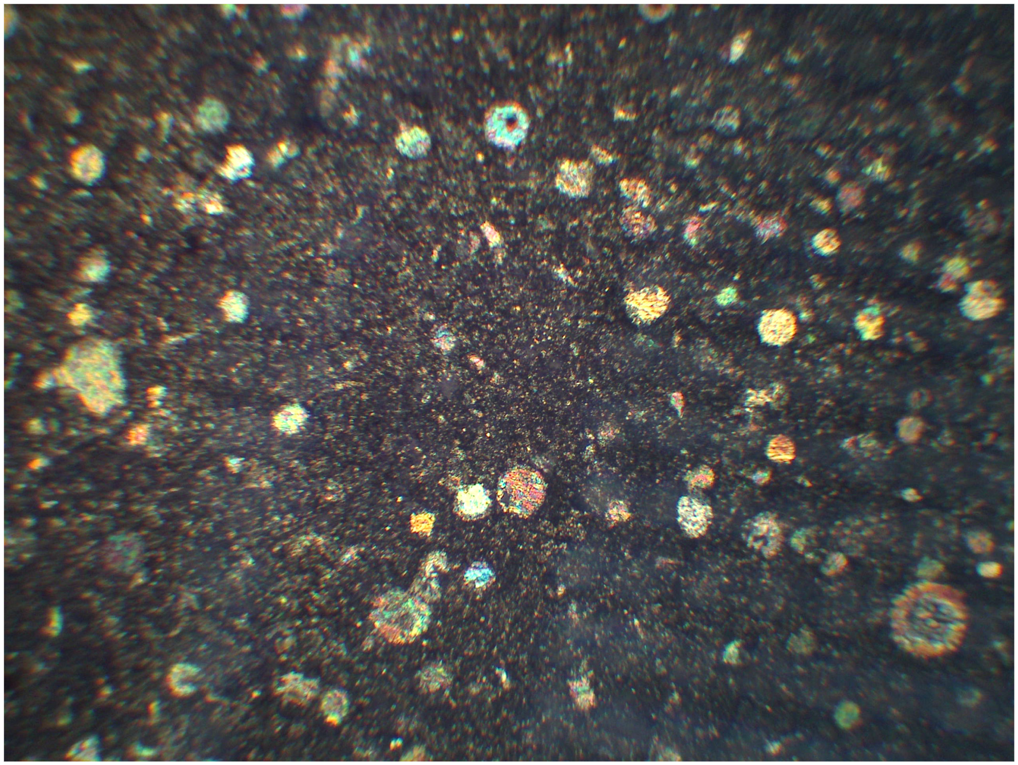 radiolarite LPA