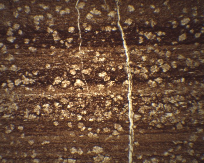 radiolarite XPL