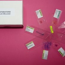 Collection sur la cellule (8 préparations en coffret
