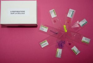 Collection sur la cellule (8 préparations en coffret