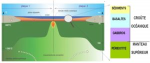 la formation de la croûte océanique