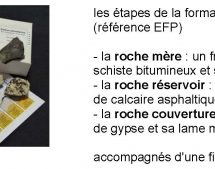 	les étapes de la formation du pétrole