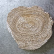 STROMATOLITE (l’unité)