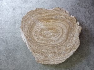 STROMATOLITE (l’unité)