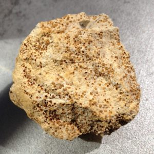 Lot de 12 roches identiques calcaire à oolites ferrugineuses