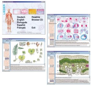 CD-ROM intéractif et éducatif