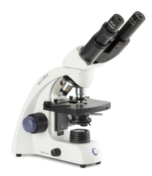 Microscope binoculaire Microblue Euromex