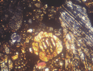 Lame mince de chondrite