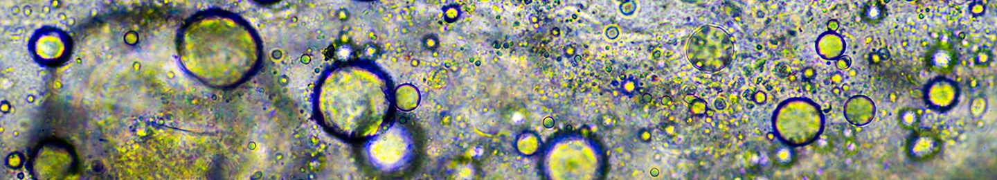 Bégénat, partenaire pédagogique