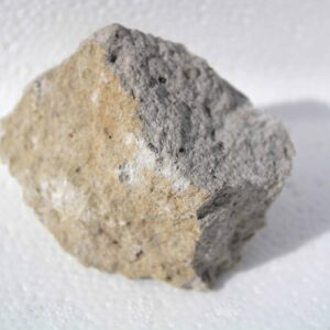 Lot de 12 roches identiques domite