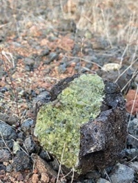 nodule de Péridotite dans du Basalte
