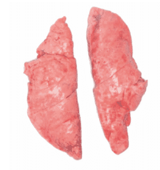 poumon de porc congelé