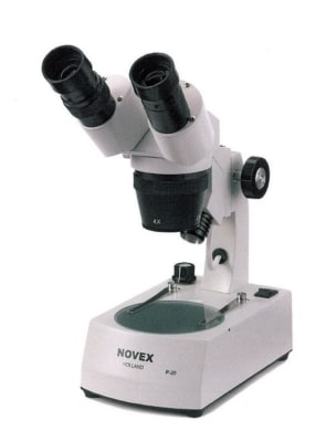 Loupe binoculaire Novex MT-1022
