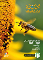notre catalogue