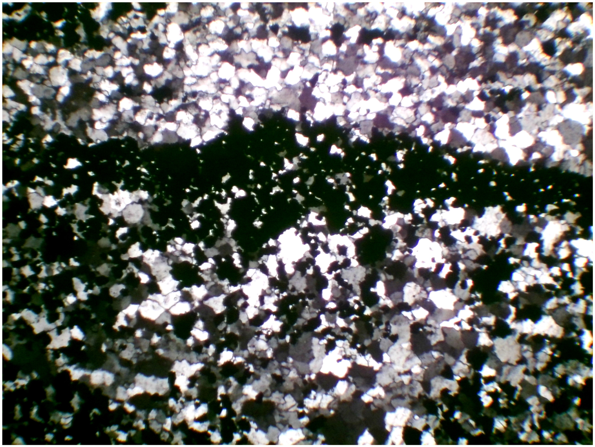 LM2044 fer rubané (BIF) LPA